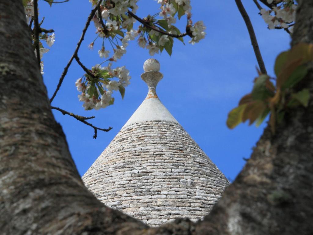 Pietraluce Konuk evi Alberobello Dış mekan fotoğraf